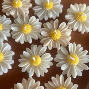 Home daisy candle